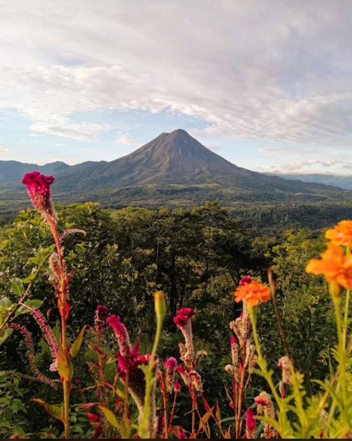 Las Pavitas Cottages La Fortuna Eksteriør bilde